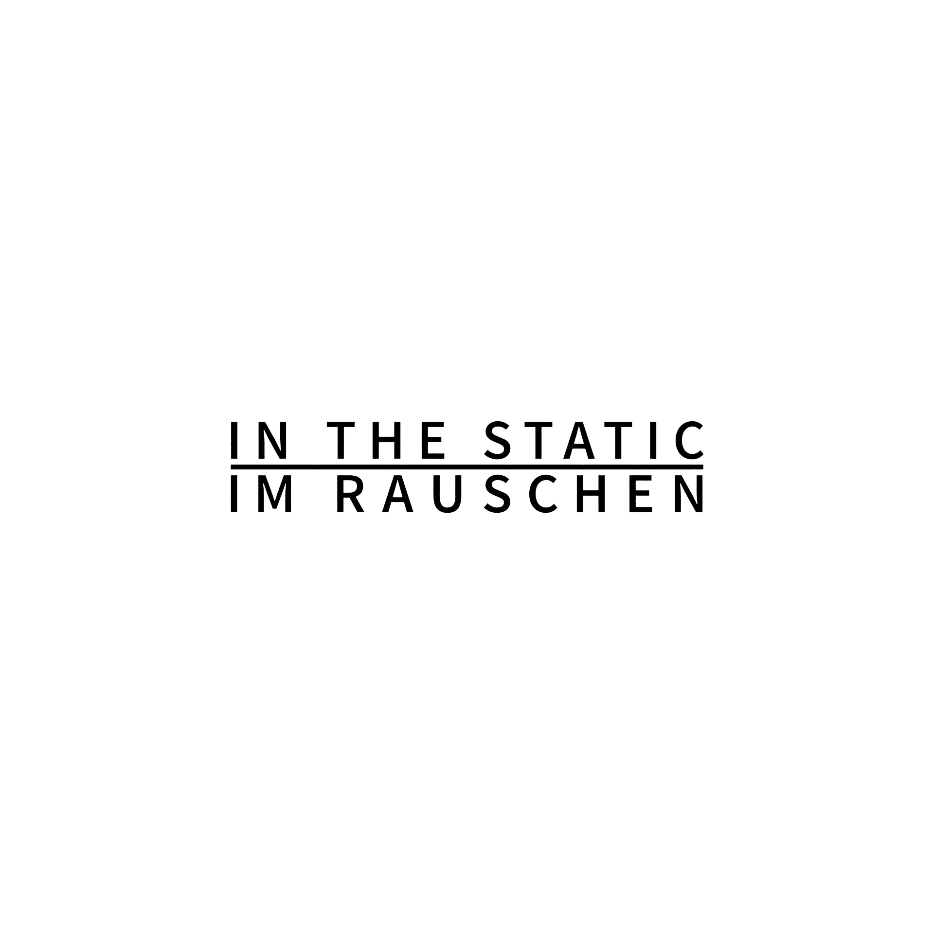 Schwarz-weiße Schrift auf leerem, weißen Hintergrund. In der Mitte stehen zwei Zeilen: „IN THE STATIC“ über „IM RAUSCHEN“. Die obere Zeile ist unterstrichen – ein stilles, minimalistisches Gleichgewicht zwischen englischer und deutscher Sprache. Reduktion auf Essenz, wie ein Atemzug vor dem Klang.